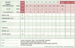 9-hole tournament scorecard